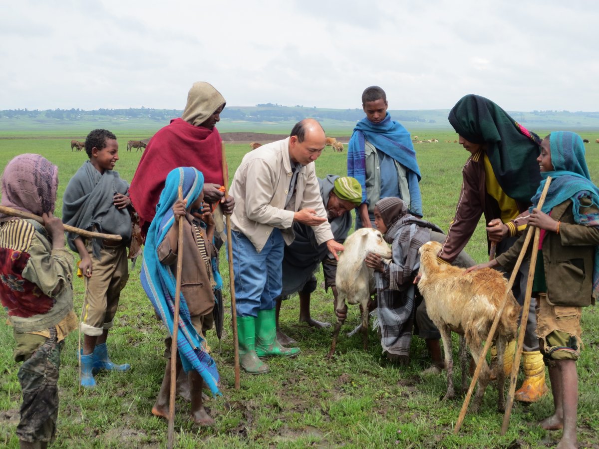 Chinese veterinarian in Ethiopia project 2014