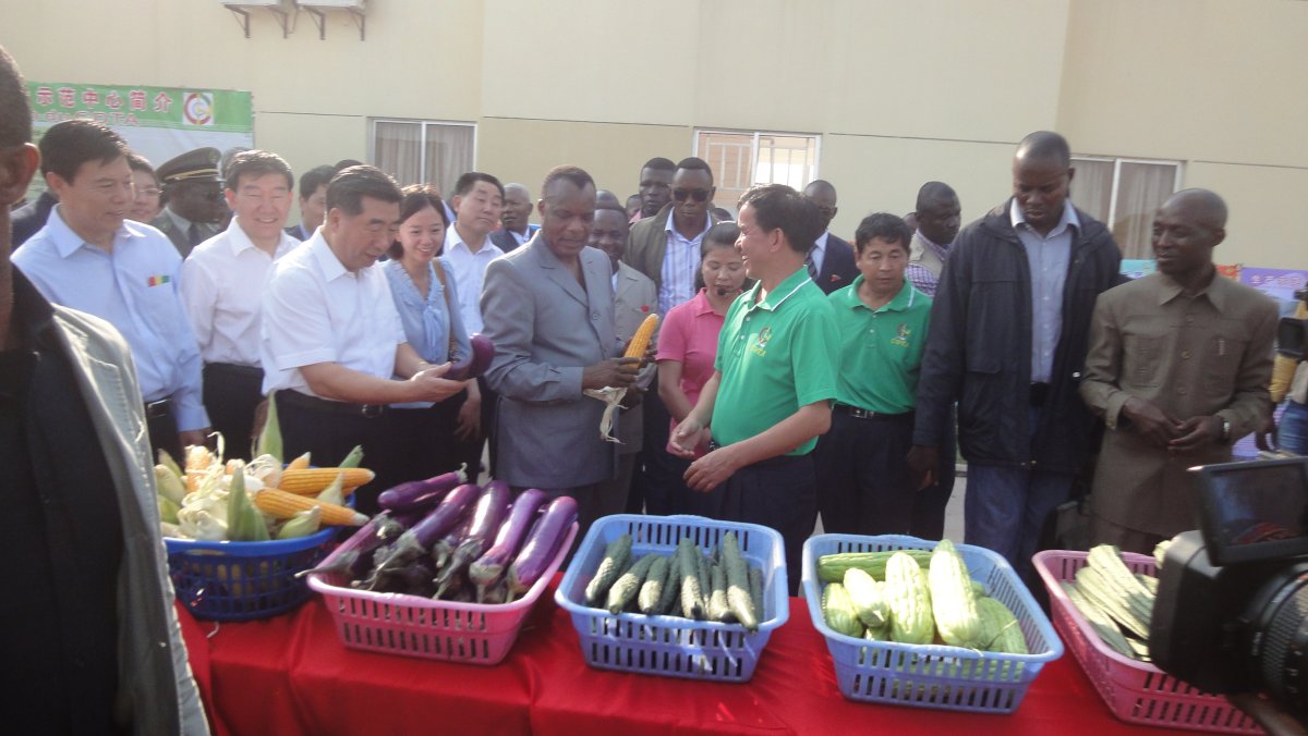 Top Governors took part in product show in the China-The Republic of Congo Agricultural Technology Demonstration Center