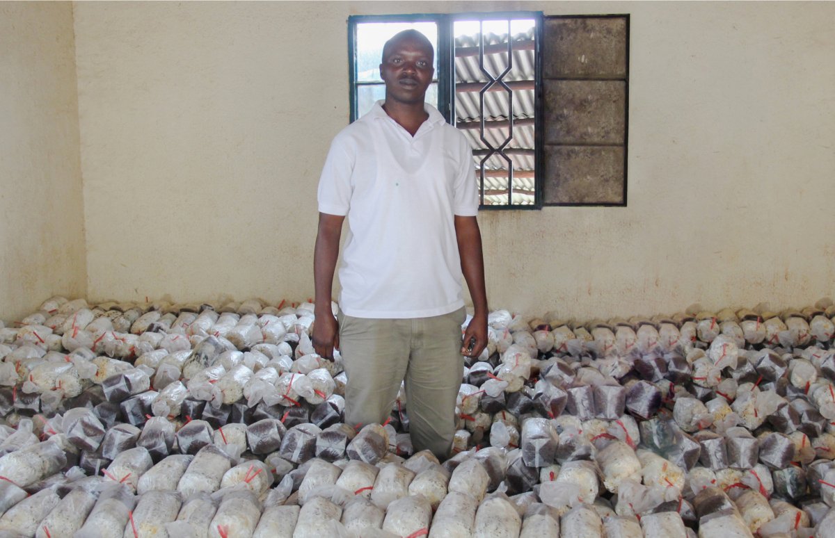 Rwanda enterpreneur produces mushrooms and supports villagers to grow mushrooms and extends his business to neighboring countries