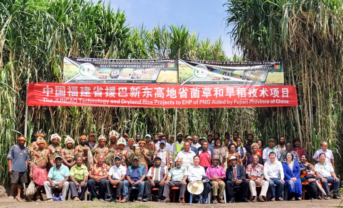 China-Aid Juncao Technology and Dryland Rice Technical Project in Papua New Guinea