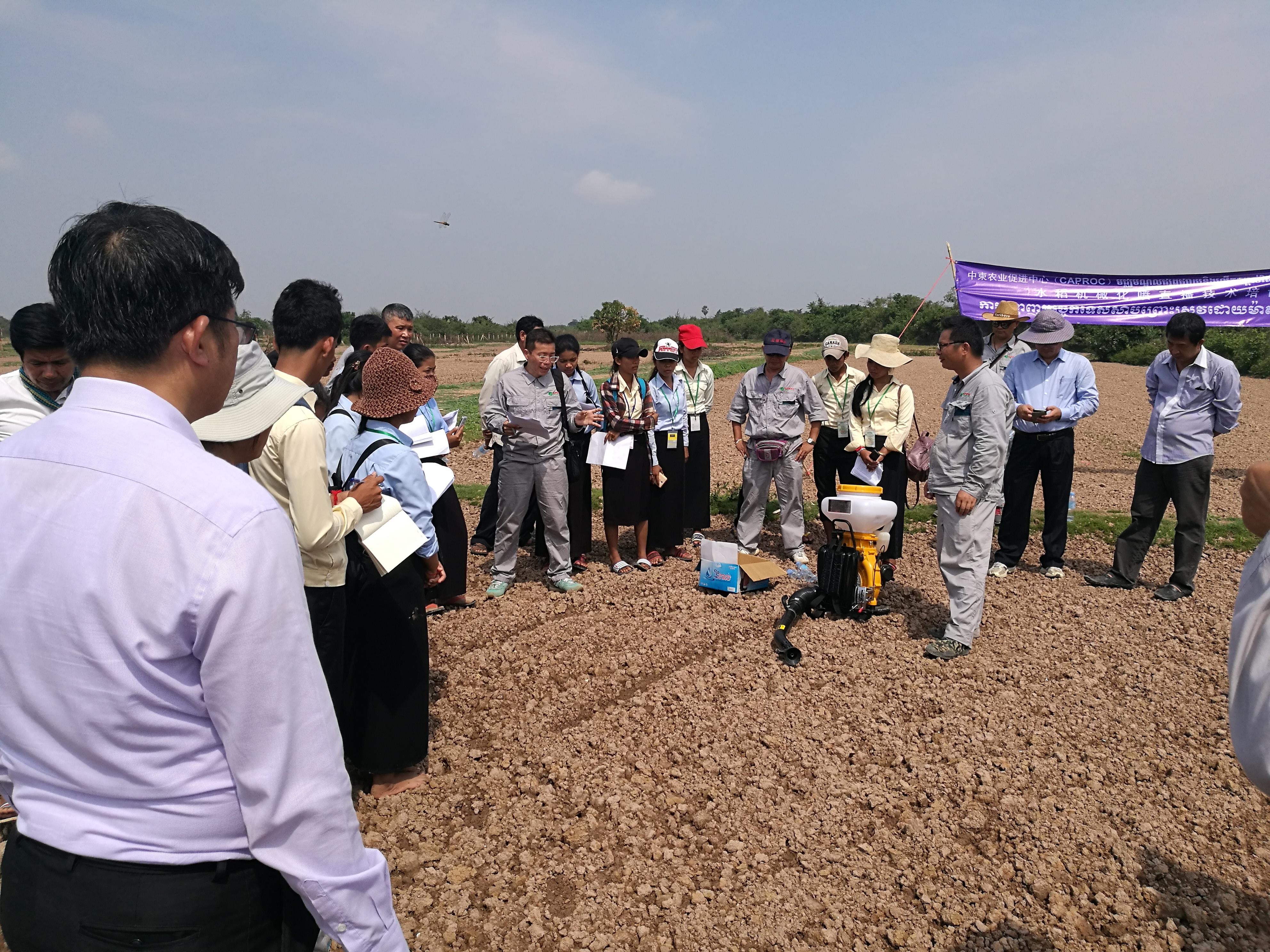 Rice seedling demonstration