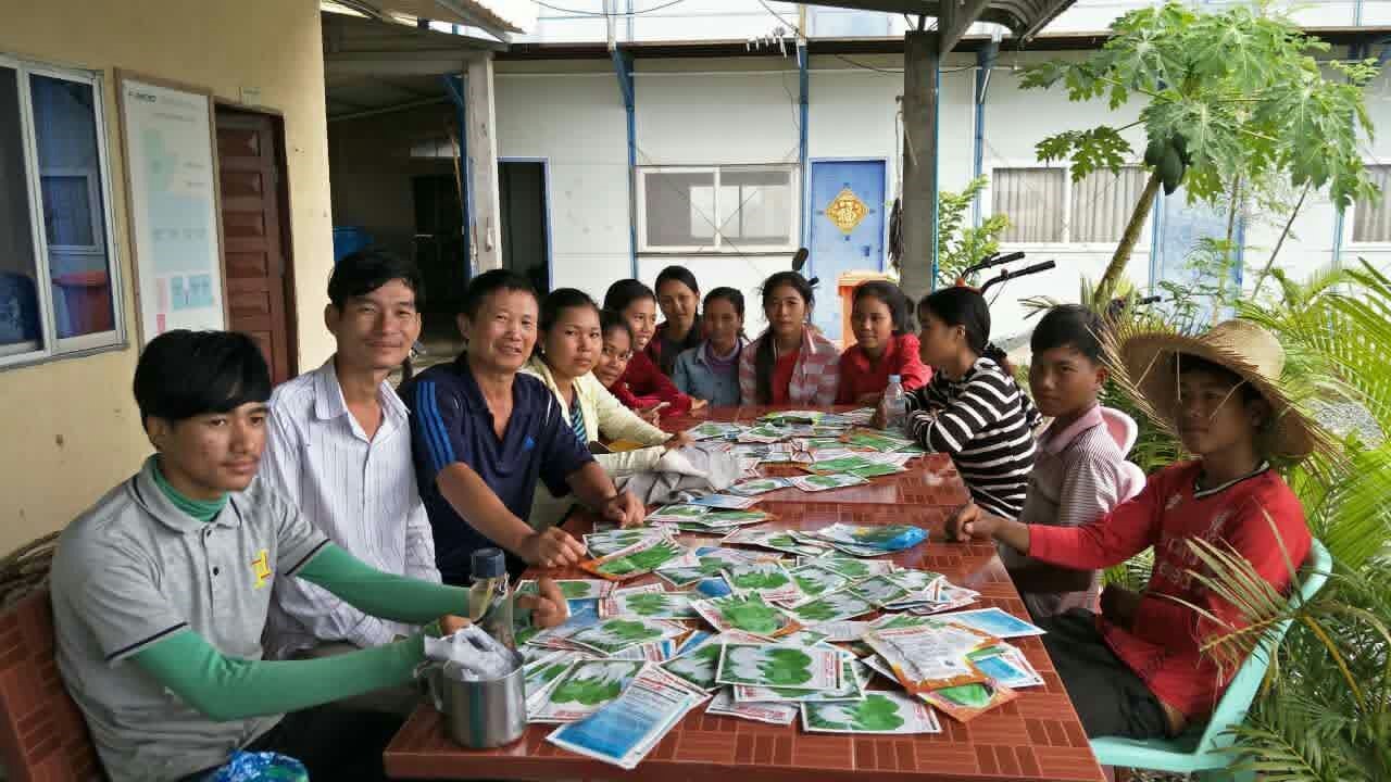 Training on vegetable plantation at the base
