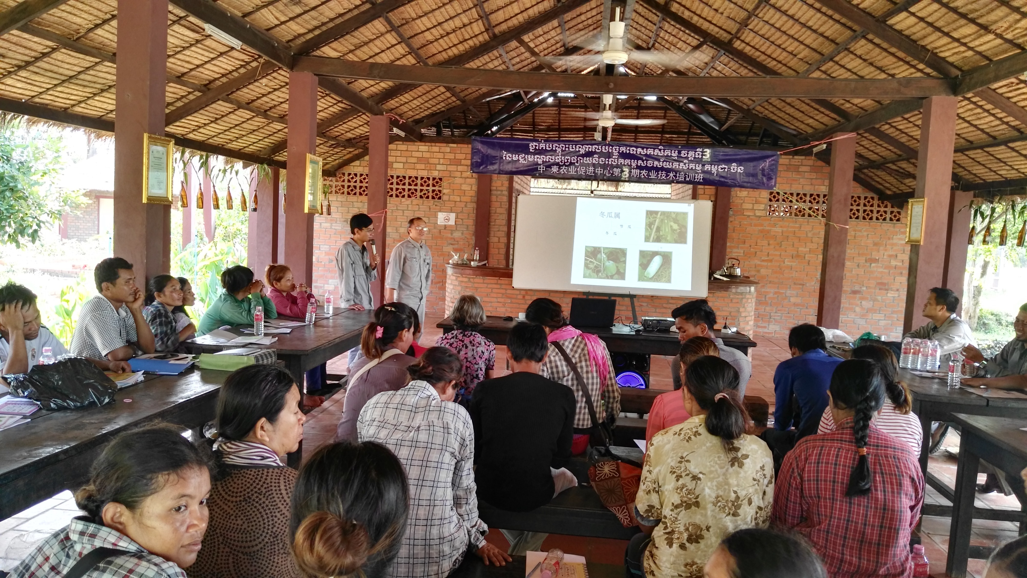 Farmers receiving technical trainings by experts