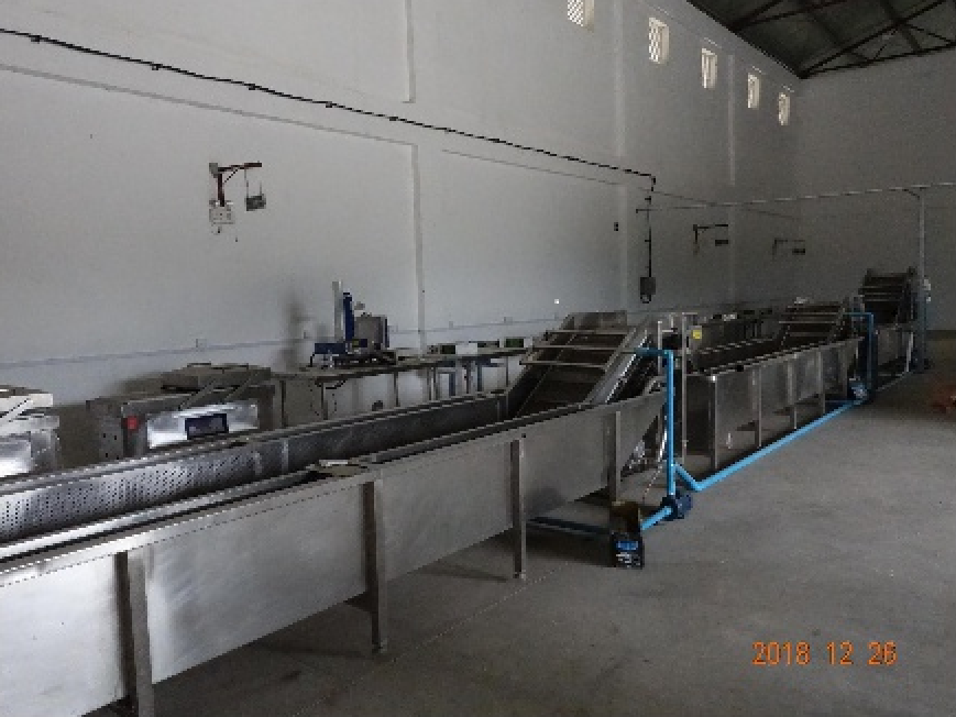 Demonstration of vegetable processing line