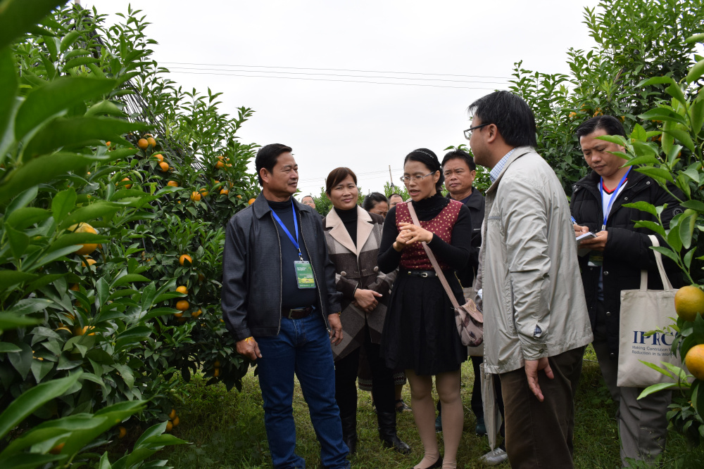 Technical traininng  and demonstration to Laos delegated on citrus fruit plantation, 2017