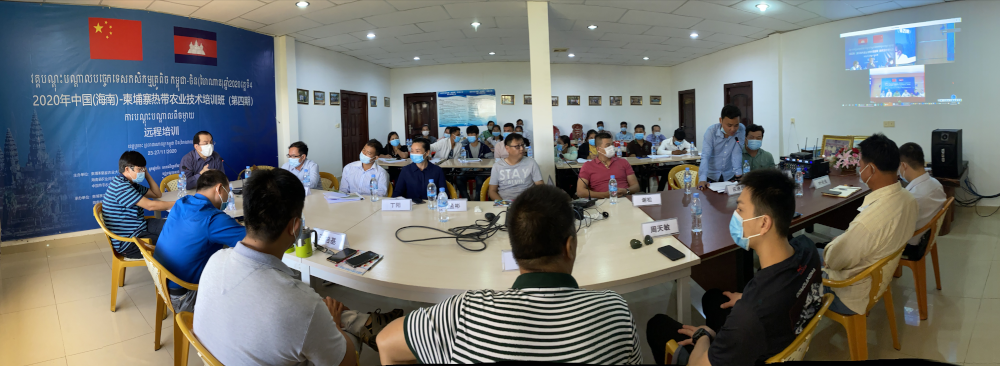 China-Cambodia virtual workshop on tropical agriculture