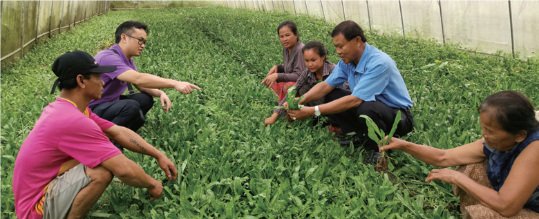  Experts explaining vegetable planting to local farmers