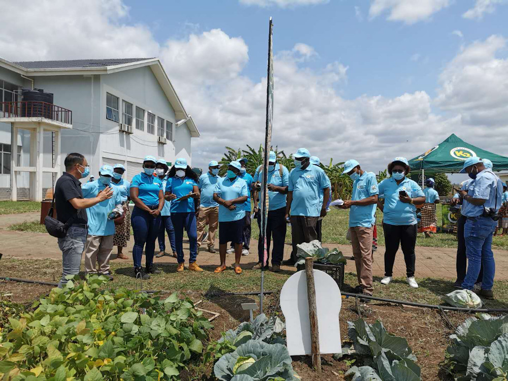 Training in vegetable growing technology