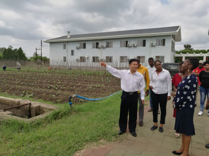 Director of the Mozambique Academy of Agricultural Sciences visits the demonstration centre